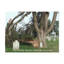 2014 Platteville, Tornadoes Memorabiliaはがき