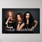 2014 SHEポスター ポスター (正面)