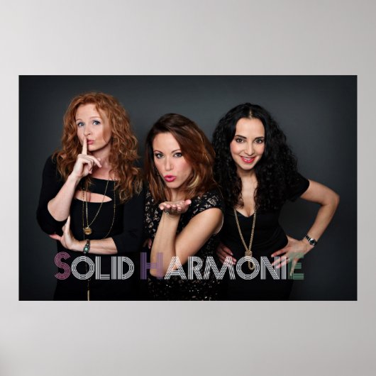 2014 SHEポスター ポスター (正面)