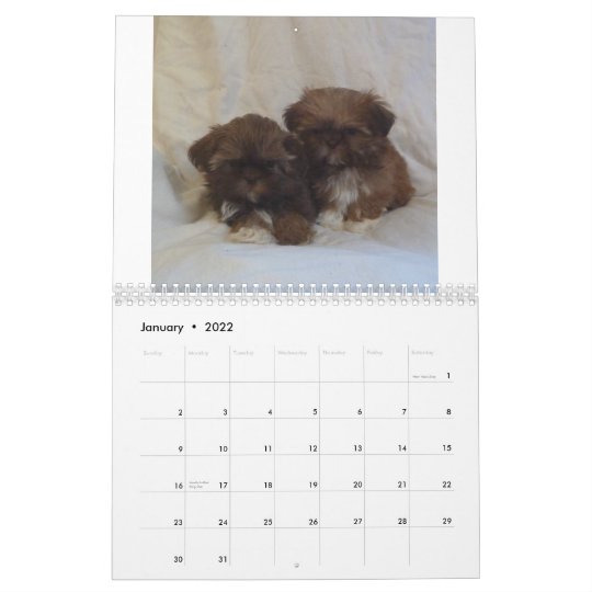 15年のシーズー 犬 のtzuの子犬のカレンダー カレンダー Zazzle Co Jp 15年のシーズー 犬 のtzuの子犬のカレンダー カレンダー Zazzle Co Jp