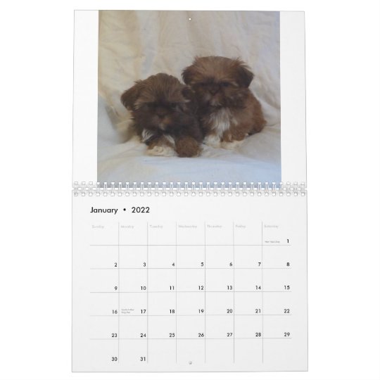 15年のシーズー 犬 のtzuの子犬のカレンダー カレンダー Zazzle Co Jp