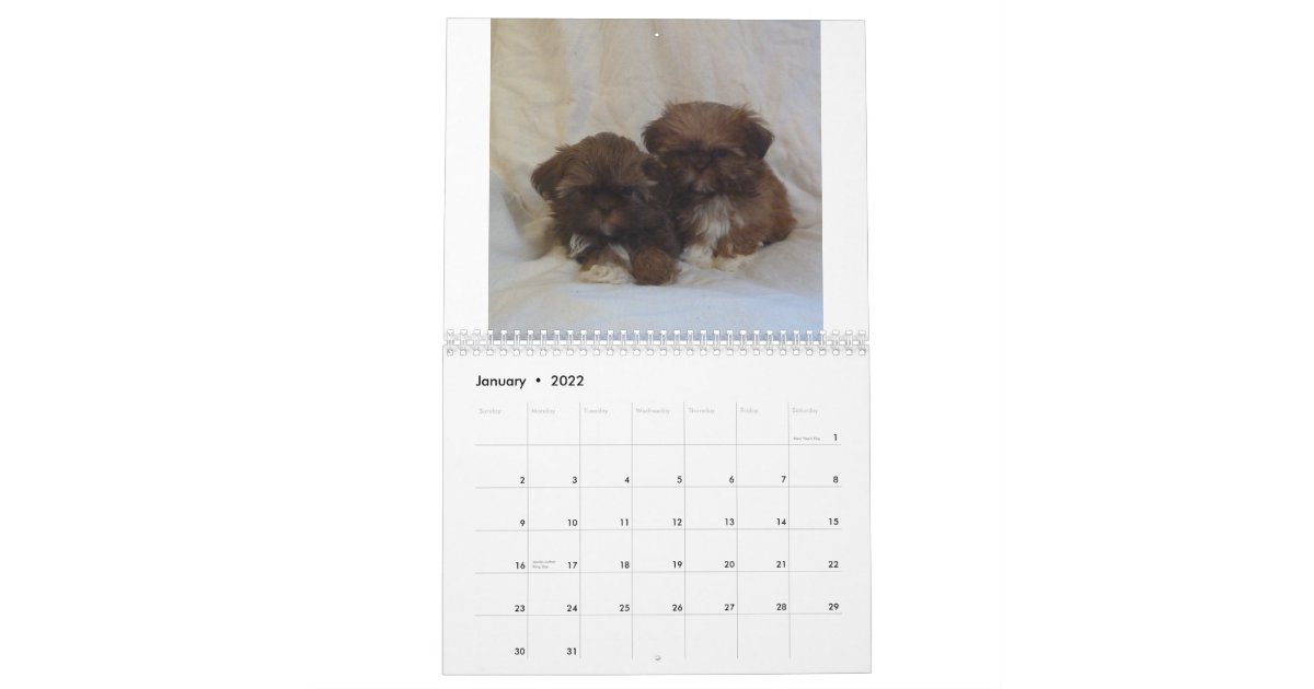 15年のシーズー 犬 のtzuの子犬のカレンダー カレンダー Zazzle Co Jp