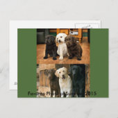 2015お気に入りの年の写真：ポストカード ポストカード (正面/裏面)