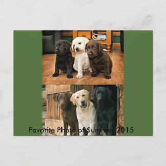 2015お気に入りの年の写真：ポストカード ポストカード