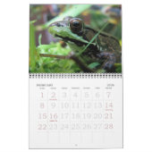 2015カエル暦 カレンダー (2月 2026)