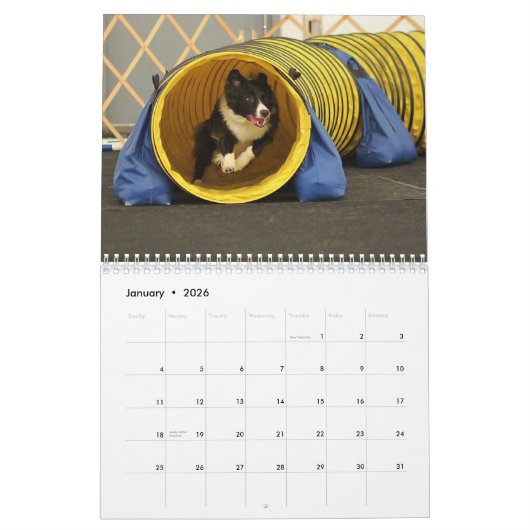 2015ボーダーコリーの敏捷のカレンダー カレンダー (1月 2026)