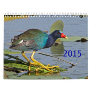 2015人の北米人の鳥のカレンダー カレンダー