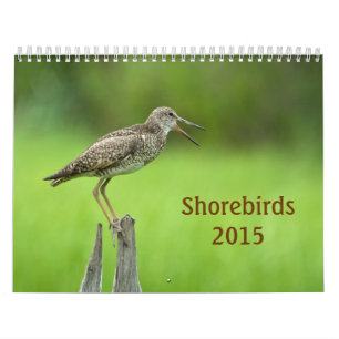 2015匹の浜鳥のカレンダー カレンダー