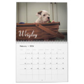 2015年のボクサーの初恋のカレンダー カレンダー (2月 2026)