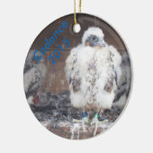 2015年の調子のオーナメント セラミックオーナメント (左)