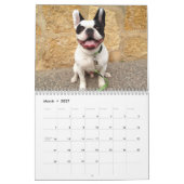 2015年のBubba Louieのカレンダー! カレンダー (3月 2027)