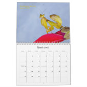 2015年のMantidforum.netの壁掛けカレンダー カレンダー (3月 2027)