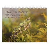 2015年のMantidforum.netの壁掛けカレンダー カレンダー (カバー)