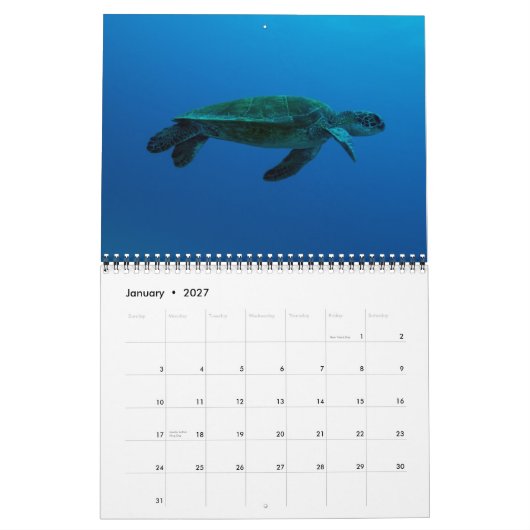 2015年サンゴの海のカレンダー カレンダー (1月 2027)