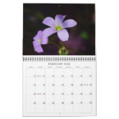 2015日曜日の僅かカレンダー カレンダー (2月 2026)