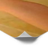 2016アジア美しいウォールポスター ポスター (角)