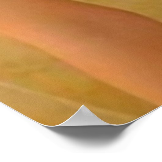 2016アジア美しいウォールポスター ポスター (角)