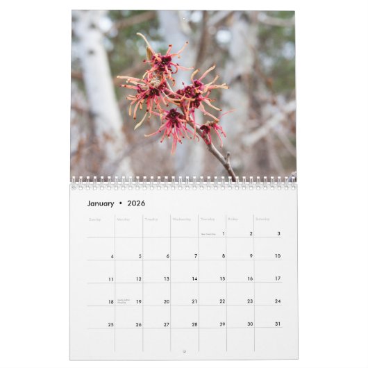 2016カレンダー カレンダー (1月 2026)