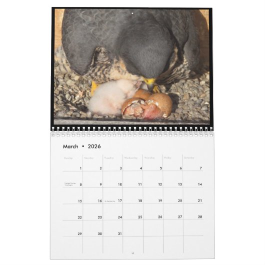 2016カレンダー-主要なカムコラージュ カレンダー (3月 2026)