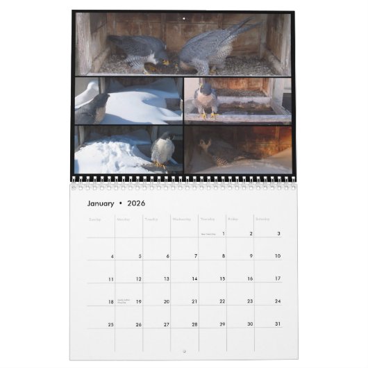 2016カレンダー-主要なカムコラージュ カレンダー (1月 2026)