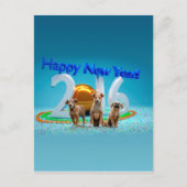 2016年おめでとう可愛い3匹の犬 シーズンポストカード (正面)