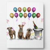 2016年おめでとう可愛い3匹の犬 フォトプラーク (正面)