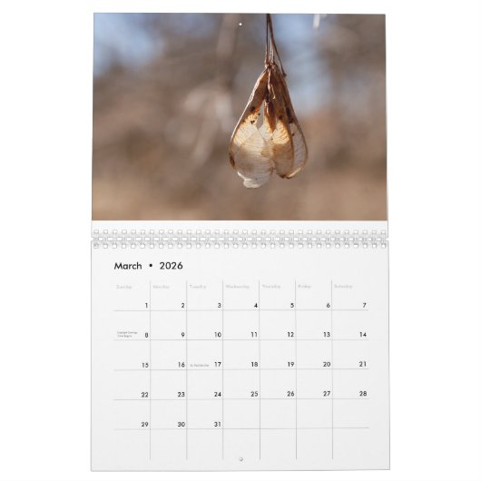 2016年の写真のカレンダー カレンダー (3月 2026)