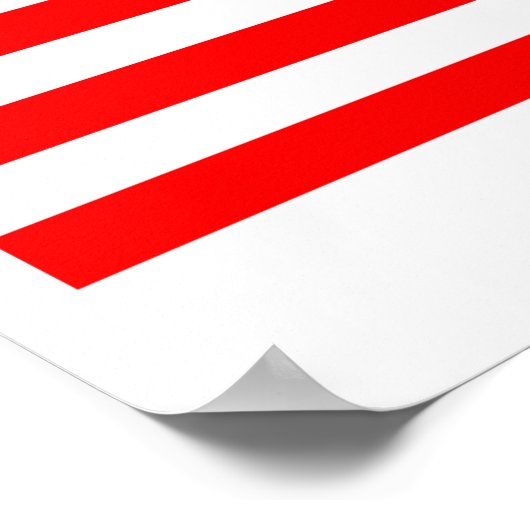 2016年の大統領にジョン・カシヒを選出 ポスター (角)