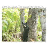 2016年の自然のカレンダー カレンダー (カバー)