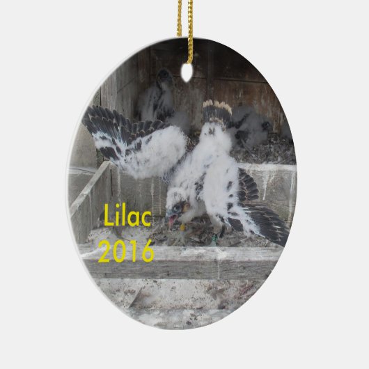 2016年の薄紫のオーナメント セラミックオーナメント (右)