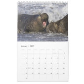 2016年の野性生物の壁掛けカレンダー-鳥およびほ乳類 カレンダー (1月 2027)