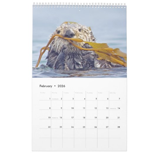 2016年の野性生物の壁掛けカレンダー-鳥およびほ乳類 カレンダー (2月 2026)