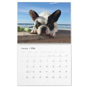 2016年のBubba Louieのカレンダー カレンダー (1月 2026)