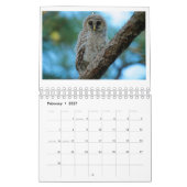 2016年のOwlWatchのカレンダー カレンダー (2月 2027)