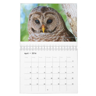 2016年のOwlWatchのカレンダー カレンダー