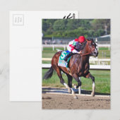 2016年コチリオン ポストカード (正面/裏面)