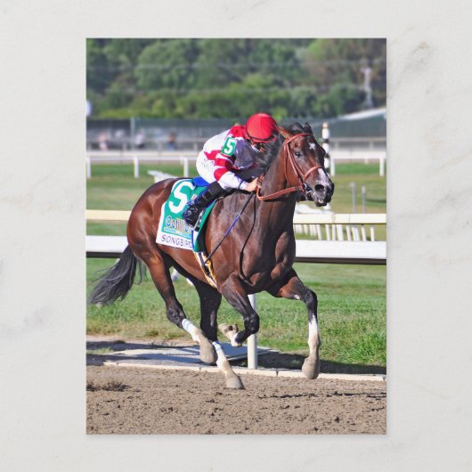 2016年コチリオン ポストカード (正面)