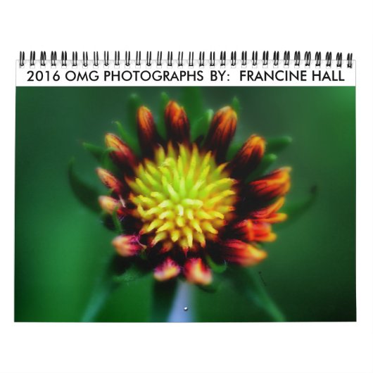 2016年フラワーカレンダー カレンダー (カバー)