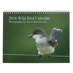 2016野生の鳥のカレンダー カレンダー