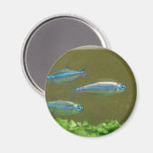 20160526_113326 マグネット (正面/裏面)