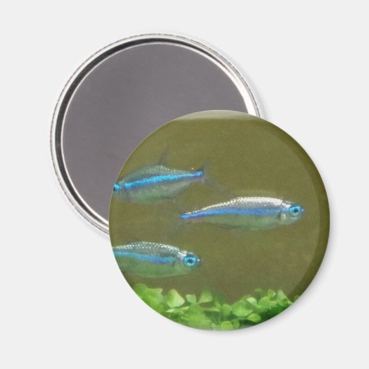 20160526_113326 マグネット (正面/裏面)