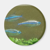 20160526_113326 マグネット (正面)