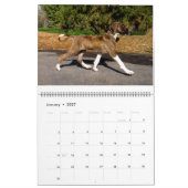 2016 AZAWAKカレンダー カレンダー (1月 2027)