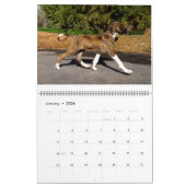 2016 AZAWAKカレンダー カレンダー (1月 2026)