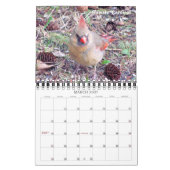2016 Bird Calendarマイウィンドウ カレンダー (3月 2027)