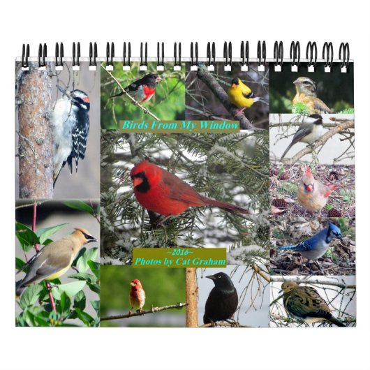 2016 Bird Calendarマイウィンドウ カレンダー (カバー)