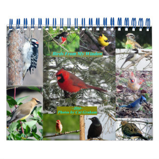 2016 Bird Calendarマイウィンドウ カレンダー