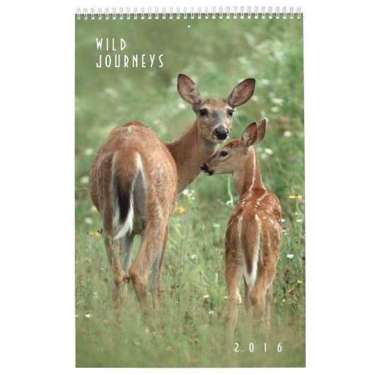2016 Wildlife Wall Calendar – 野生生物写真 カレンダー (カバー)