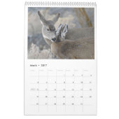 2016 Wildlife Wall Calendar – 野生生物写真 カレンダー (3月 2017)