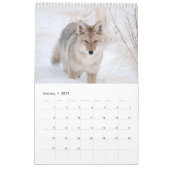2016 Wildlife Wall Calendar – 野生生物写真 カレンダー (1月 2017)
